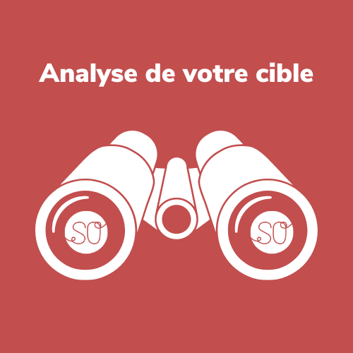 Agence de communication Lozère SO Conseils - Analyse de votre cible client